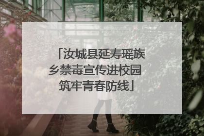 汝城县延寿瑶族乡禁毒宣传进校园 筑牢青春防线