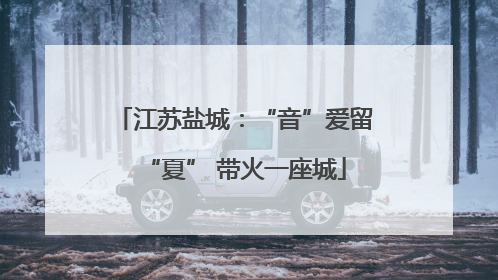 江苏盐城：“音”爱留“夏” 带火一座城