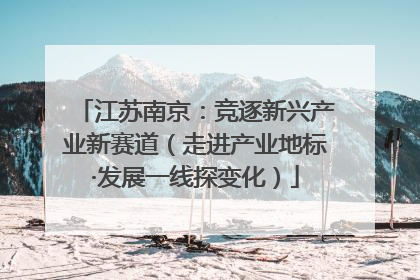 江苏南京：竞逐新兴产业新赛道（走进产业地标·发展一线探变化）