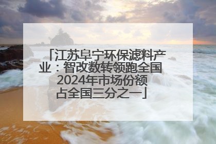 江苏阜宁环保滤料产业：智改数转领跑全国 2024年市场份额占全国三分之一