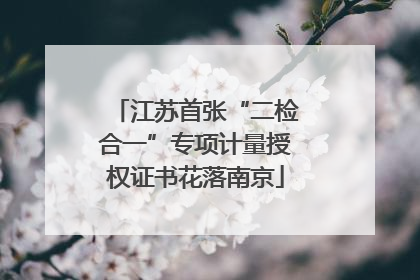 江苏首张“二检合一”专项计量授权证书花落南京