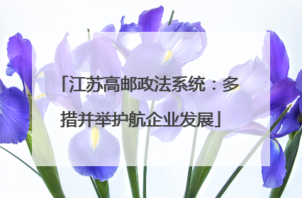江苏高邮政法系统：多措并举护航企业发展