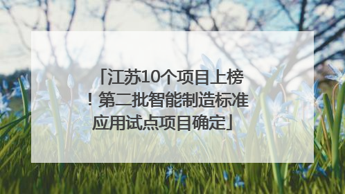 江苏10个项目上榜！第二批智能制造标准应用试点项目确定