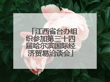 江西省台办组织参加第三十四届哈尔滨国际经济贸易洽谈会