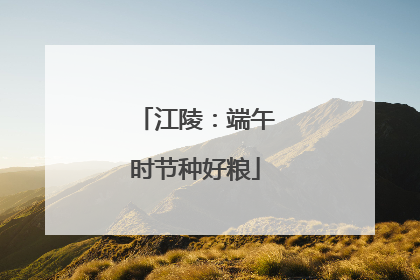 江陵：端午时节种好粮