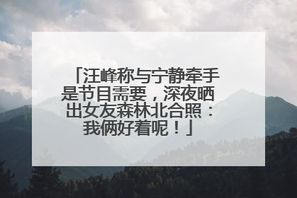 汪峰称与宁静牵手是节目需要，深夜晒出女友森林北合照：我俩好着呢！