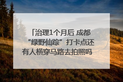 治理1个月后 成都“绿野仙踪”打卡点还有人横穿马路去拍照吗？｜民情瞭望