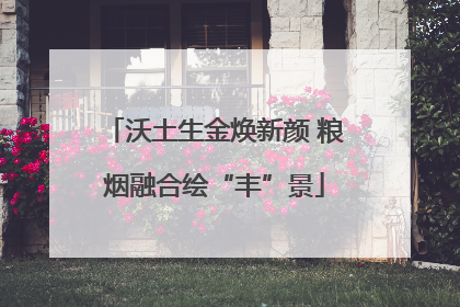 沃土生金焕新颜 粮烟融合绘“丰”景