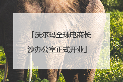 沃尔玛全球电商长沙办公室正式开业