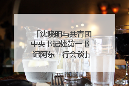 沈晓明与共青团中央书记处第一书记阿东一行会谈