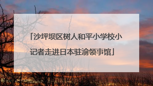 沙坪坝区树人和平小学校小记者走进日本驻渝领事馆