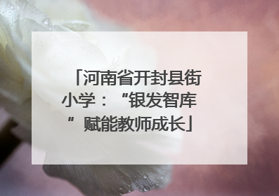 河南省开封县街小学：“银发智库”赋能教师成长