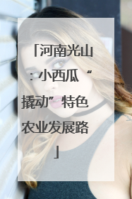 河南光山：小西瓜“撬动”特色农业发展路