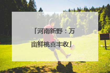 河南新野：万亩鲜桃喜丰收
