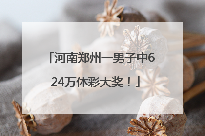 河南郑州一男子中624万体彩大奖！