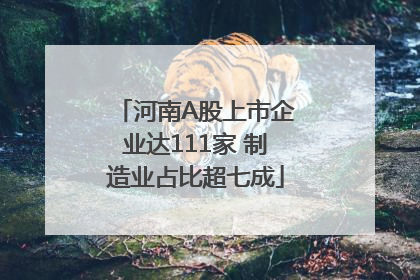 河南A股上市企业达111家 制造业占比超七成