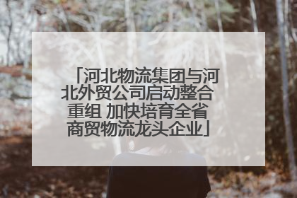 河北物流集团与河北外贸公司启动整合重组 加快培育全省商贸物流龙头企业