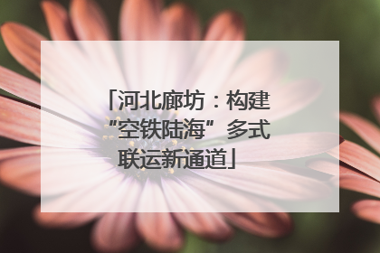 河北廊坊：构建“空铁陆海”多式联运新通道
