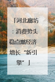 河北廊坊：消费势头稳点燃经济增长“新引擎”