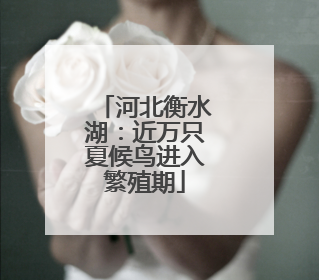 河北衡水湖：近万只夏候鸟进入繁殖期