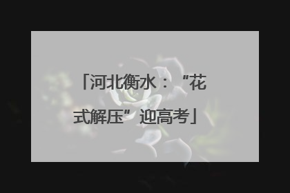 河北衡水：“花式解压”迎高考