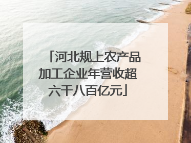 河北规上农产品加工企业年营收超六千八百亿元