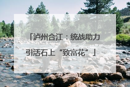 泸州合江：统战助力引活石上“致富花”