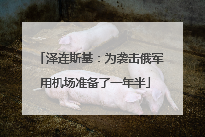 泽连斯基：为袭击俄军用机场准备了一年半