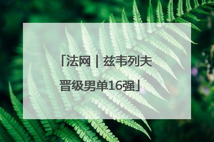 法网｜兹韦列夫晋级男单16强