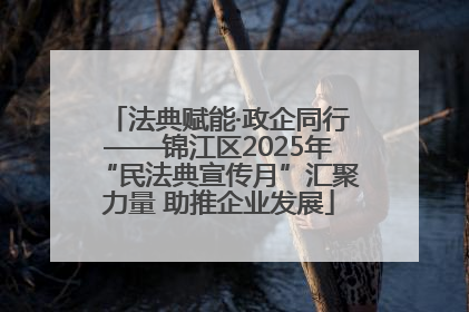法典赋能·政企同行——锦江区2025年“民法典宣传月”汇聚力量 助推企业发展