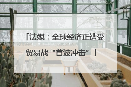 法媒：全球经济正遭受贸易战“首波冲击”
