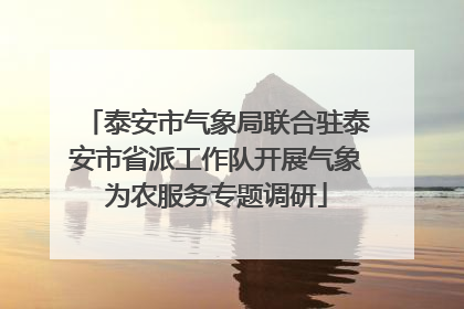 泰安市气象局联合驻泰安市省派工作队开展气象为农服务专题调研