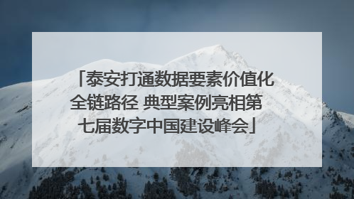 泰安打通数据要素价值化全链路径 典型案例亮相第七届数字中国建设峰会