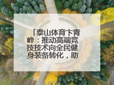 泰山体育卞青峰：推动高端竞技技术向全民健身装备转化，助力乡村振兴