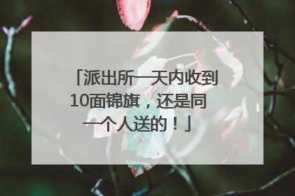 派出所一天内收到10面锦旗，还是同一个人送的！