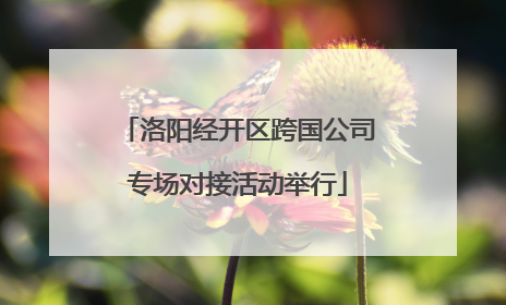 洛阳经开区跨国公司专场对接活动举行