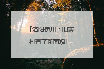 洛阳伊川：旧寨村有了新面貌