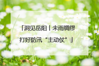 洞见岳阳丨未雨绸缪 打好防汛“主动仗”