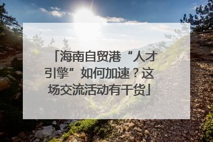 海南自贸港“人才引擎”如何加速？这场交流活动有干货