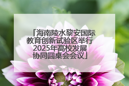 海南陵水黎安国际教育创新试验区举行2025年高校发展协同圆桌会会议