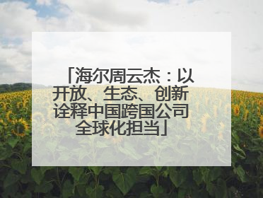 海尔周云杰：以开放、生态、创新诠释中国跨国公司全球化担当