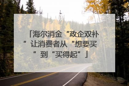 海尔消金“政企双补”让消费者从“想要买”到“买得起”