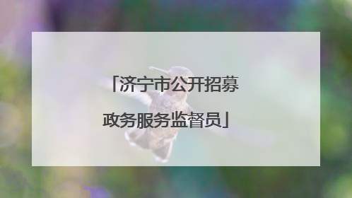 济宁市公开招募政务服务监督员