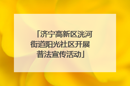 济宁高新区洸河街道阳光社区开展普法宣传活动