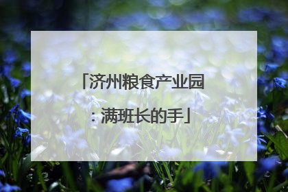 济州粮食产业园：满班长的手