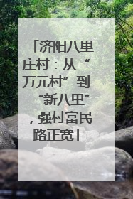 济阳八里庄村：从“万元村”到“新八里”，强村富民路正宽