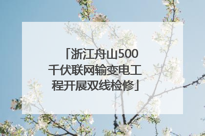 浙江舟山500千伏联网输变电工程开展双线检修