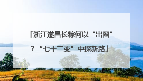 浙江遂昌长粽何以“出圈”？“七十二变”中探新路