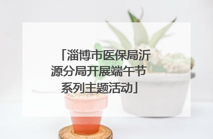 淄博市医保局沂源分局开展端午节系列主题活动