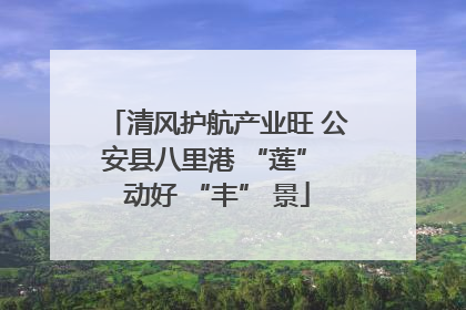 清风护航产业旺 公安县八里港 “莲” 动好 “丰” 景